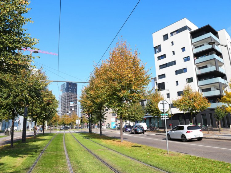 3e place : Strasbourg=entreLa ville europenne fait une entre remarque au classement ! Elle doit sa 3e place  une politique de vgtalisation audacieuse, impulse par son Plan Canope 2020-2026. Il vise  tendre la strate arbore dans la ville,  renouveler plus activement le patrimoine dprissant et  faire voluer les modes de gestion des arbres pour s’adapter aux nouvelles contraintes climatiques. L’objectif : planter 10 000 arbres supplmentaires  horizon 2030 ! La ville dploie aussi des pratiques vertueuses : ses 1 050 000 m d'espaces verts, grs en zro pesticide et en gestion diffrencie, offrent aux habitants l'quivalent de 259 terrains de football de vgtal !