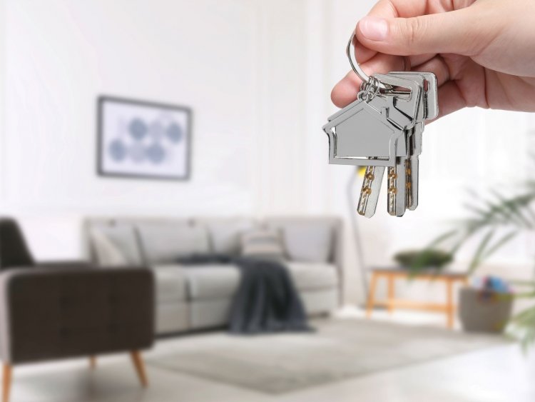 Le statut LMP permet aux investisseurs immobiliers de profiter d'avantages fiscaux considrables grce  la location meuble professionnelle. | Shutterstock