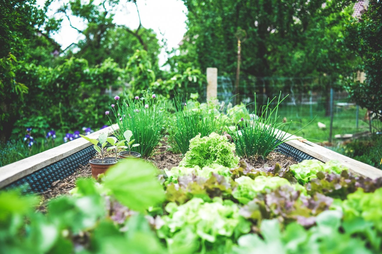 Votre jardin privatif va pouvoir vous servir de potager.