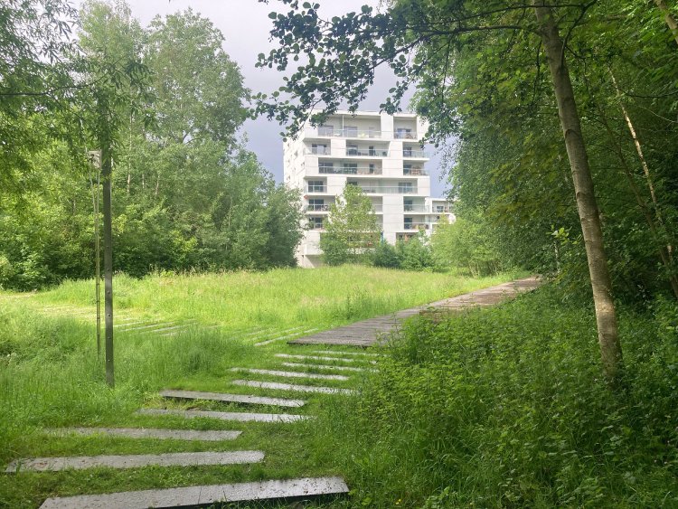 Ecoquartier La Courrouze / Rennes