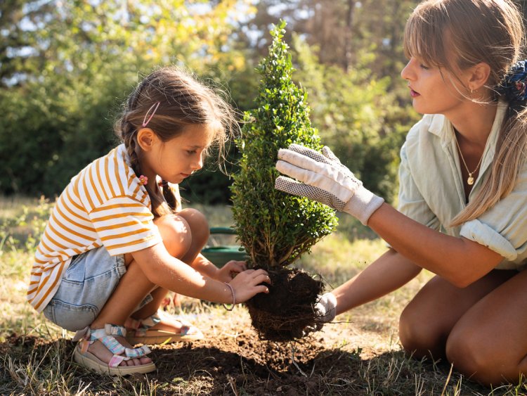 am&eacute;nagement jardin